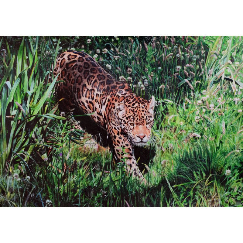  Shannagh-Leigh Hartshorn