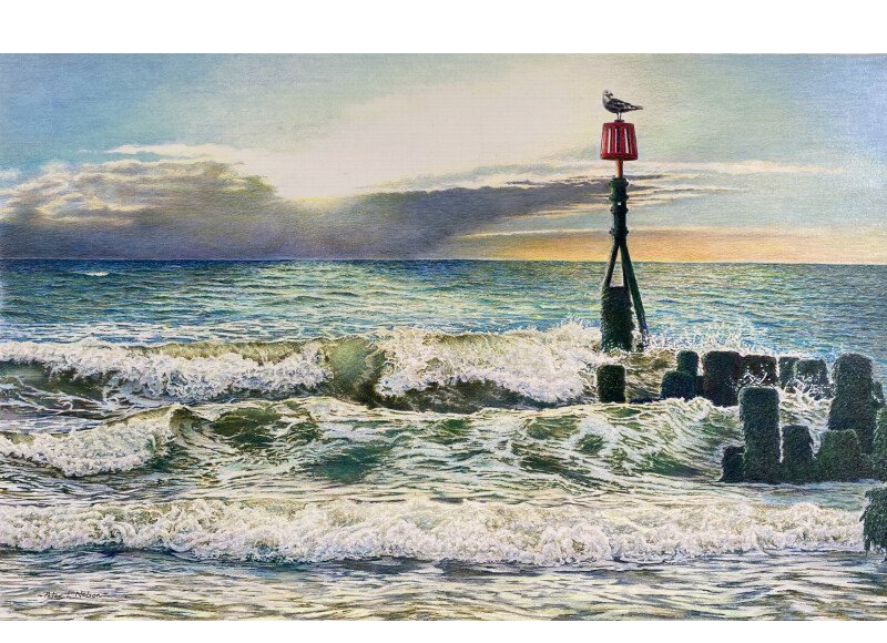 Peter Nelson 800 rec