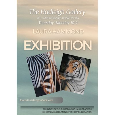 Laura Hammond Exhibition