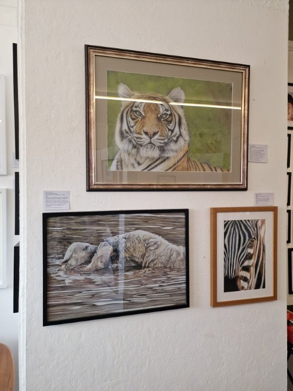 Laura Hammond Exhibition